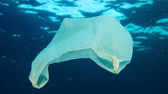 Αποτέλεσμα εικόνας για plastic bag sea