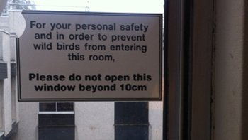 Seagull warning sign 350 197