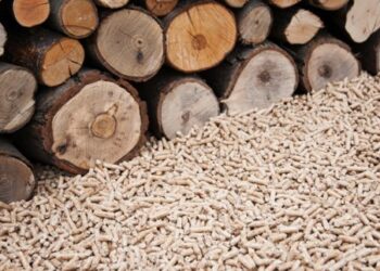 £70m biomass plant delayed to improve sustainability