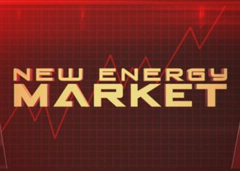 A day at the New Energy Market