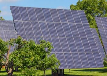 Work starts on West Sussex solar farm