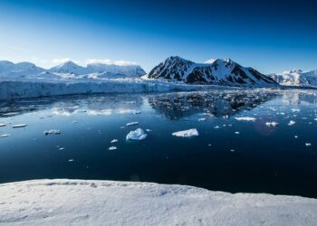 WWF files lawsuit over Shell’s ‘expired’ Arctic oil permits