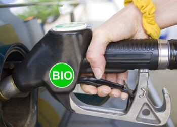 Biofuels worse than petrol for climate, study claims
