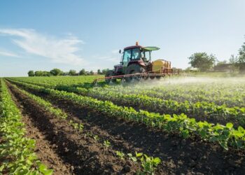 Tory MPs call on PM to use EU farming subsidies to protect the environment