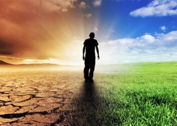 New portal showcases global climate action