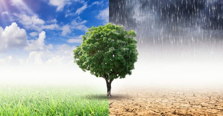 European trade unions on the march for climate muscle