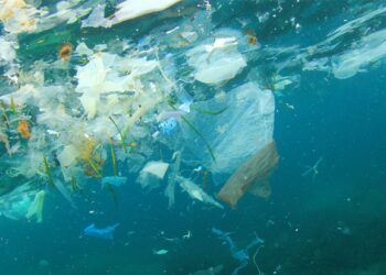 UN and EU adopt new roadmap to tackle marine pollution