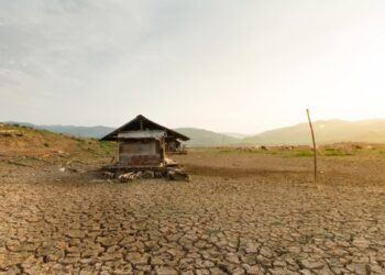 South Asia and Pacific to receive $80bn for climate action