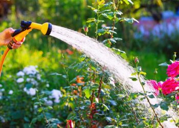 United Utilities calls off hosepipe ban in England