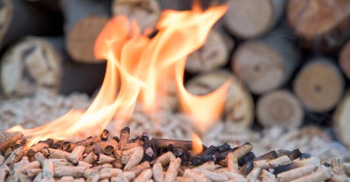 US green groups call on Ireland to extinguish biomass burning