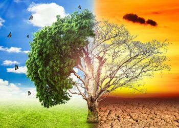 G20 ‘spends more on driving climate change than benefits from reducing it’
