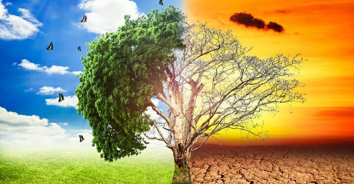 G20 ‘spends more on driving climate change than benefits from reducing it’