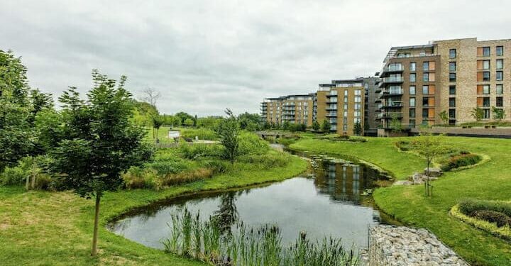 Developers may have to make ‘biodiversity net gain’