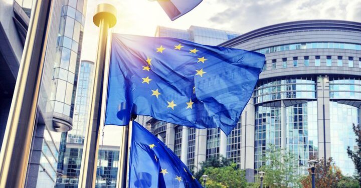 EU flags
