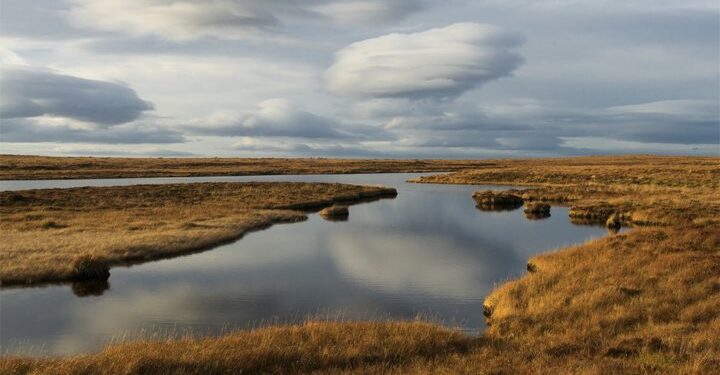 Germany pledges €2m to support peatlands and cut emissions