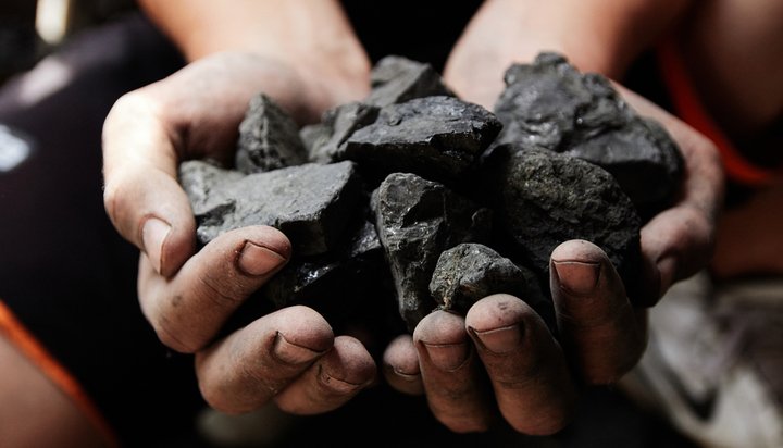 Coal in the hands of a miner