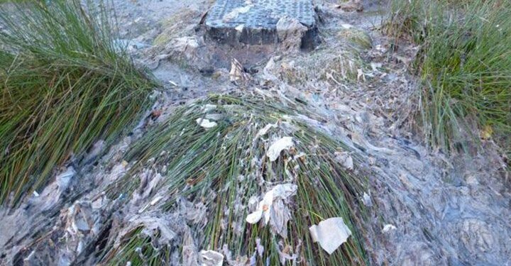 Severn Trent Water fined £500k for raw sewage discharge at Sutton Park