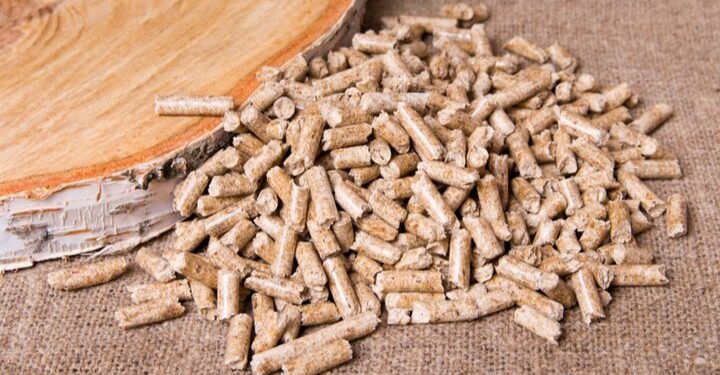 Biomass wood chippings