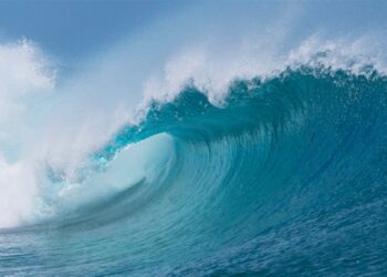 Wave Energy Scotland awards £1m for advanced control systems