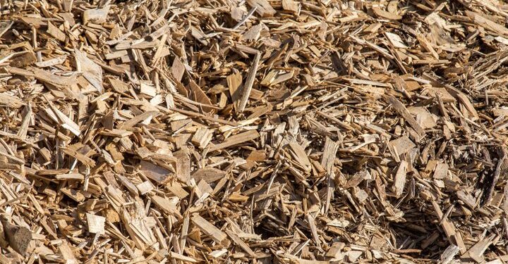 New £160m wood to energy plant fired up in Wales