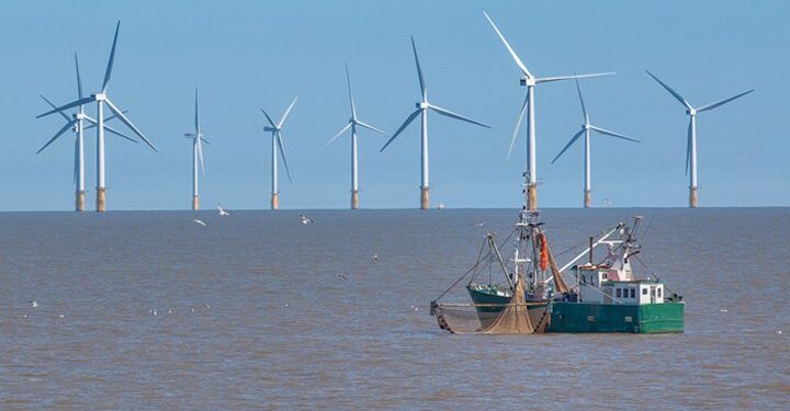 New York fishes for information in offshore wind research