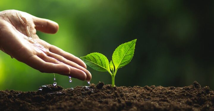 YouTube launches campaign to plant 20 million trees by 2020
