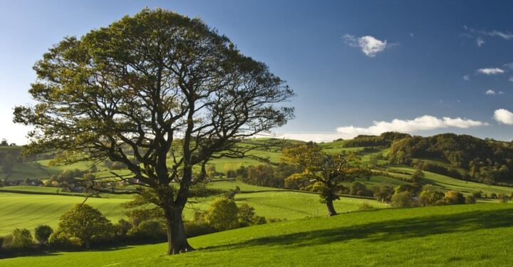 Government’s Environment Bill ‘not fit for purpose’