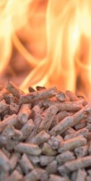 NAO: Government fails to ensure biomass sustainability in £20bn support