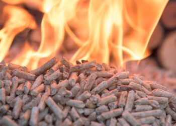 Biomass delivers ‘questionable carbon savings’, says new report