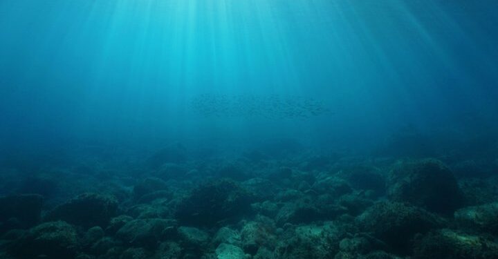 Subsea tech and data firm teams up with US Government to map seabed