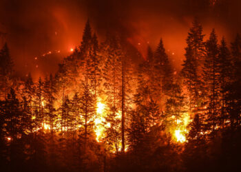 Climate change increases risk of wildfires, scientists confirm