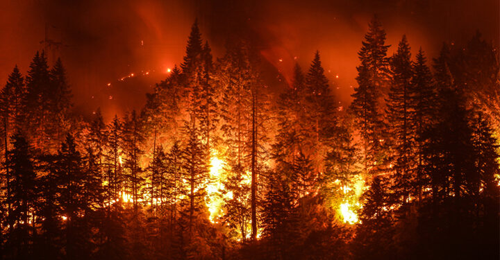 Climate change increases risk of wildfires, scientists confirm