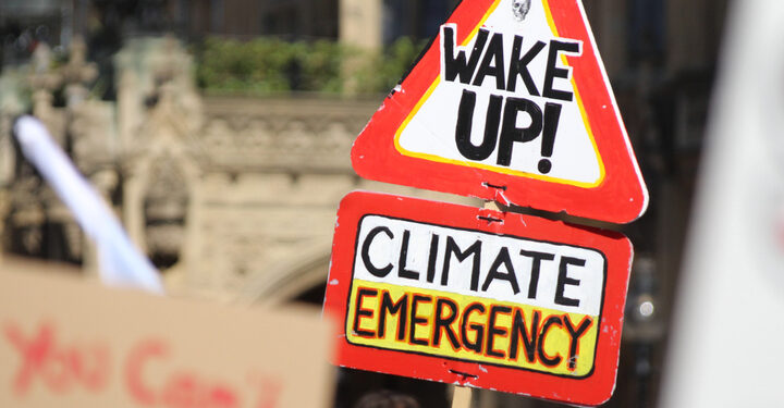 ‘UK can’t reach net zero unless it plants a forest twice the size of Birmingham every year’