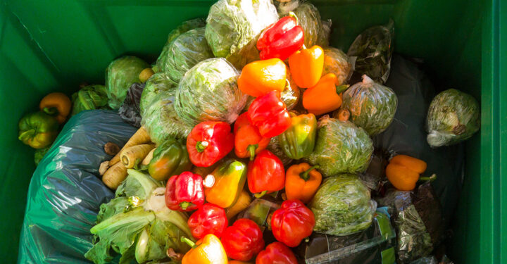 WRAP publishes roadmap to tackle food wastage at UK farms
