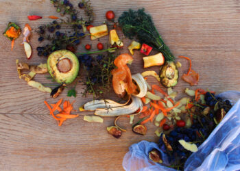 Government offers £3m to tackle food waste during coronavirus crisis