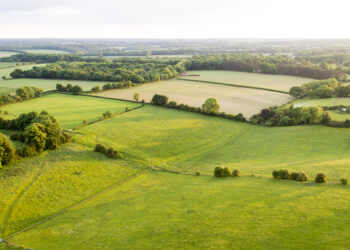 Buckinghamshire solar farm to generate enough clean energy for 2,800 homes
