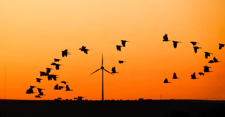 Environmental Protection Authority gives Australian renewable energy hub approval