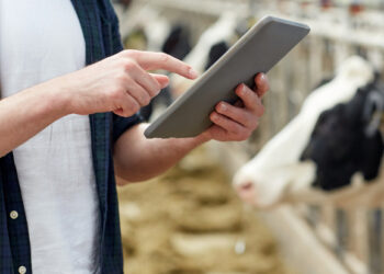 Dairy farmers down under get grants to save energy