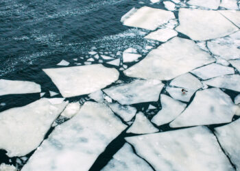 May hailed as ‘warmest on record’ as Siberia melts after ‘alarming’ heatwave