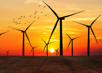 ‘Offshore wind power now so cheap it could actually pay money back to consumers’