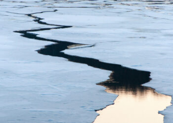 ‘Human-caused climate change has fuelled Siberian heatwaves’