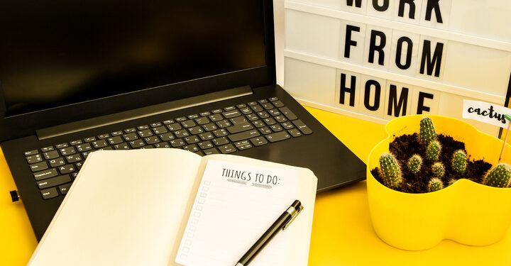 ‘Almost 3m UK workers plan to continue working from home to save the planet’