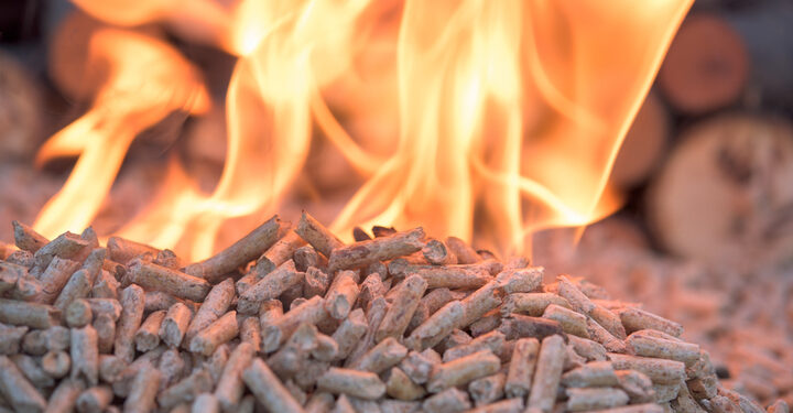 Less than a quarter of Britons ‘agree with the classification of biomass as renewable energy’