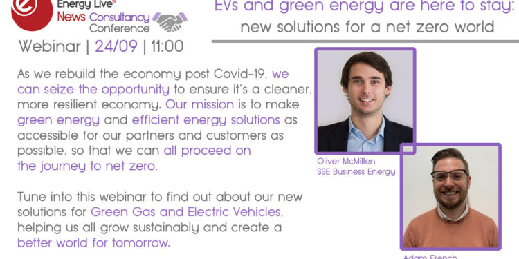 Webinar: EVs and green energy are here to stay: new solutions for a net zero world