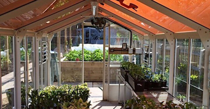 Could tinted solar panels boost crop yields and farms’ incomes?