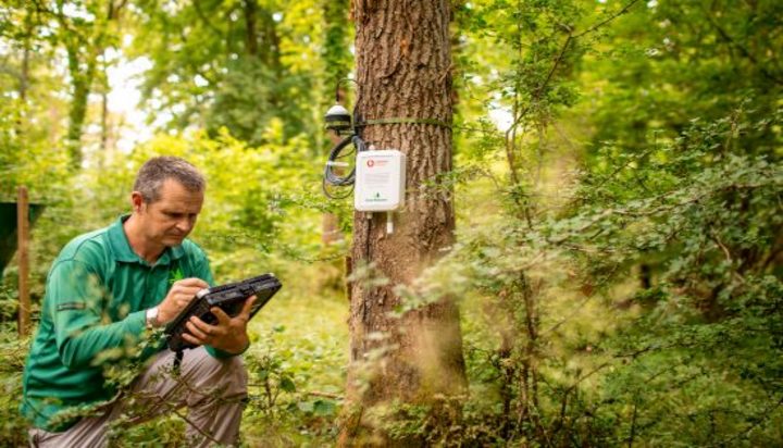 UK forests to transmit data to ring the alarm on climate change - Energy Live News - Energy Made Easy