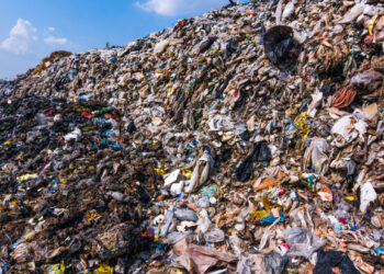 Waste-to-energy plant reaches one million tonnes of non-recyclables milestone