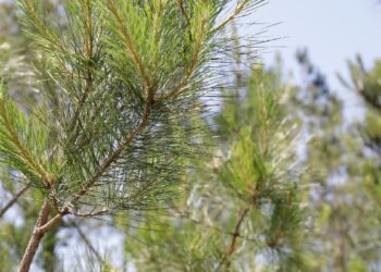 Proving that sustainability delivers a measurable return on investment