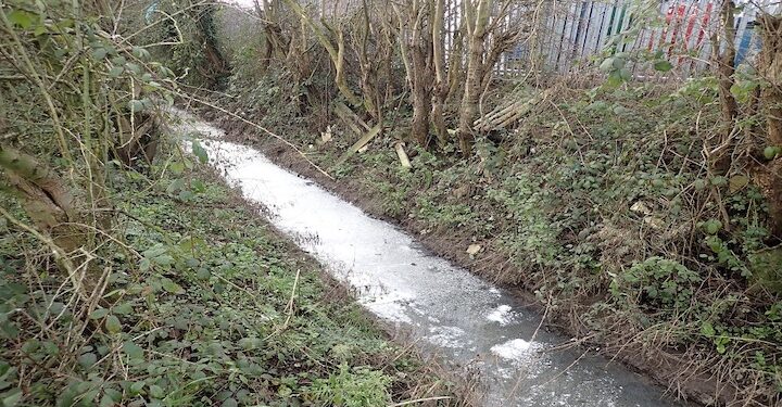Noble Foods pays £50k for polluting stream with wastewater