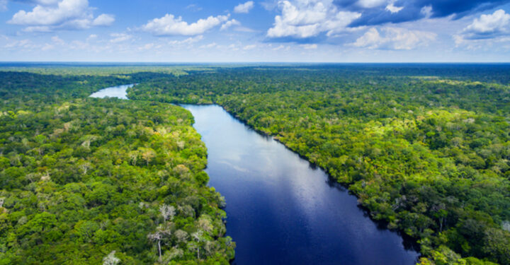COP26: UK kick-starts new initiative to protect world’s rainforests